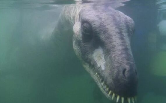 Hoggie Hogganfield Loch Monster: Scotland’s Newest Urban Legend?
