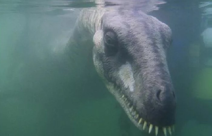 Hoggie Hogganfield Loch Monster: Scotland’s Newest Urban Legend?
