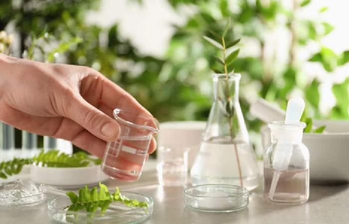 Clean Beauty Write For Us