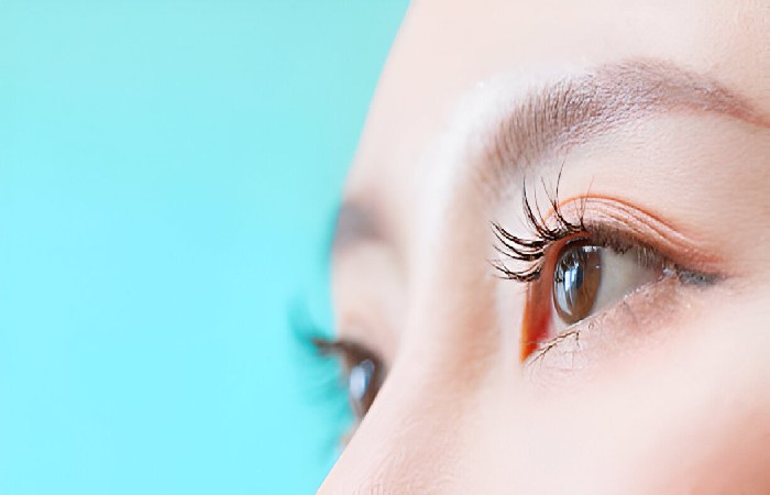Eyelash Write For Us