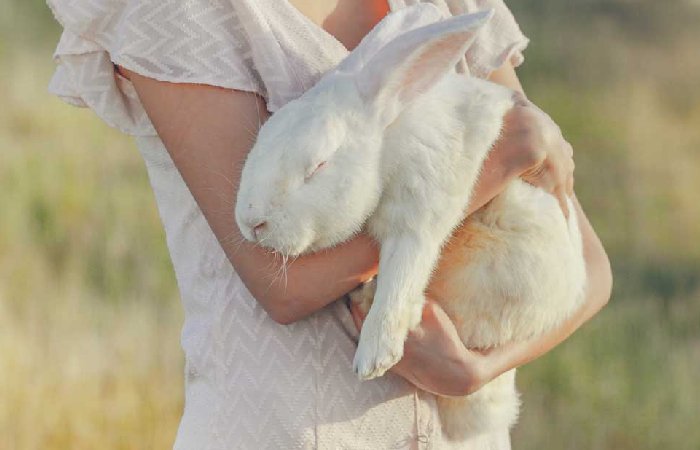 Cruelty-Free Beauty Write For Us
